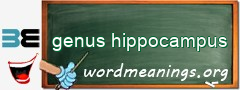 WordMeaning blackboard for genus hippocampus